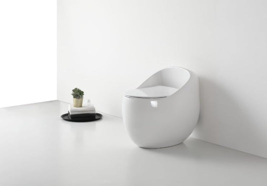 Bassino Ceramic One Piece Western Toilet,Floor Mounted Commode for Toilet,European Commode With Soft Close Toilet Seat Cover (White Glossy,Size-660X470X620) BTT-OT-501