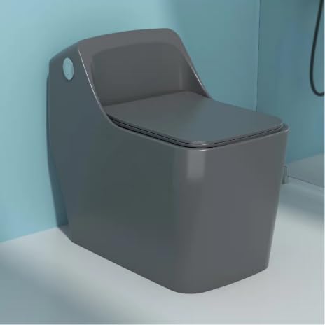 Bassino Ceramic One Piece Western Toilet,Floor Mounted Commode for Toilet,European Commode With Soft Close Toilet Seat Cover (Grey Matt,Size-680X400X620) BTT-OT-512