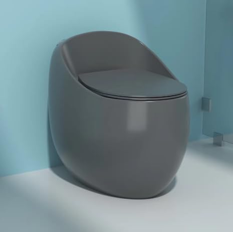Bassino Ceramic One Piece Western Toilet,Floor Mounted Commode for Toilet,European Commode With Soft Close Toilet Seat Cover (Grey Matt,Size-660X470X620) BTT-OT-507