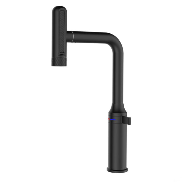 Pull-Out Kitchen Sink Mixer Tap | 3-Function Spray | 360° Swivel | 7-Year Warranty Black