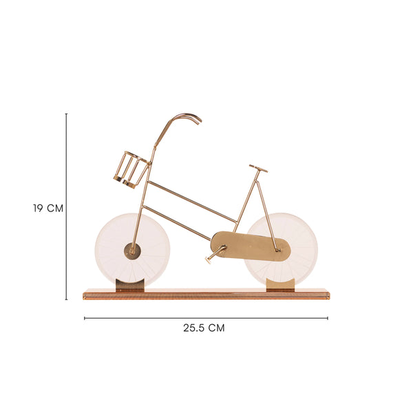 Featuring a delicate bicycle design crafted with gleaming gold accents and transparent glass elements creates a dynamic visual effect, making it a perfect statement piece for modern, eclectic, or minimalist interiors. BSP-8130