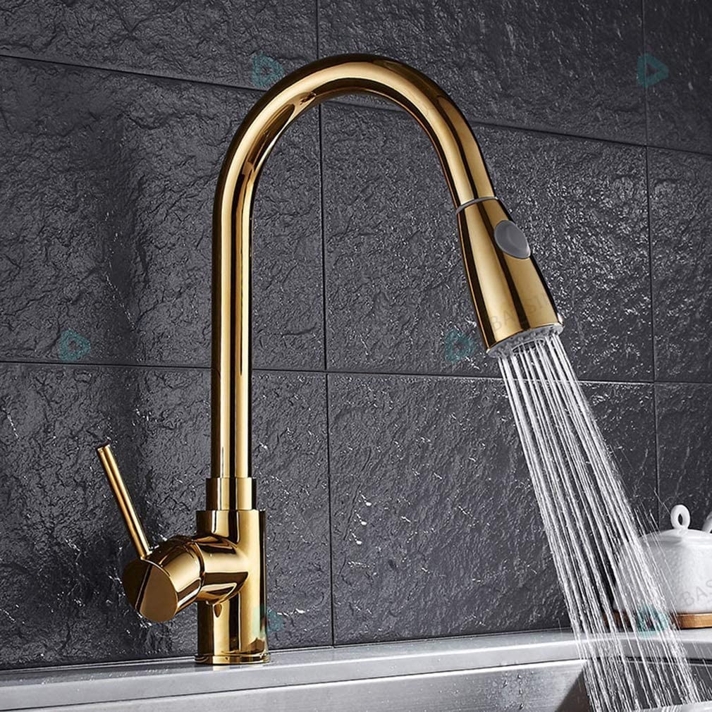 BASSINO Gold Kitchen Faucet with Pull Down Sprayer,Pro-Style Spring Sprayer SS 304 Pull-Down Kitchen Sink Faucet Tap (BTT-2066) (Gold Finish) (BTT-2066)