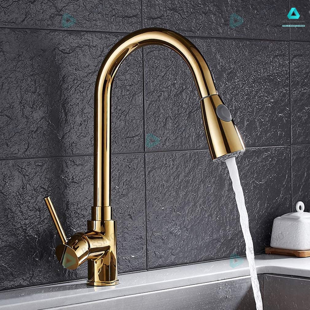 BASSINO Gold Kitchen Faucet with Pull Down Sprayer,Pro-Style Spring Sprayer SS 304 Pull-Down Kitchen Sink Faucet Tap (BTT-2066) (Gold Finish) (BTT-2066)